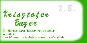 krisztofer buzer business card